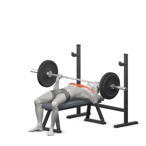 Barbell bench press, end: the bar lowered to the chest