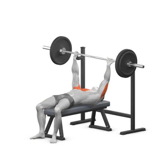 Barbell bench press, start: lying on the bench with the bar above the chest