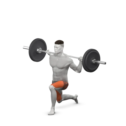 Barbell lunge, end: one leg stepped forward, the back knee lowered towards the floor