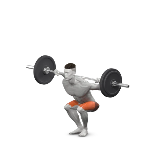 Barbell back squat, end: squatting with the thighs at about parallel