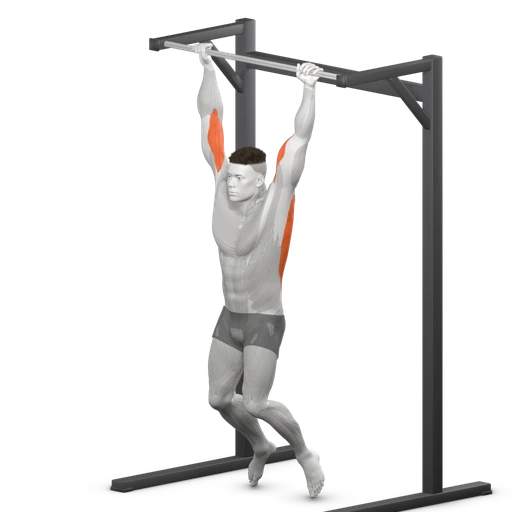 Pull-up, start: hanging from the bar with straight arms